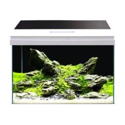 AMTRA Modern Tank 40 LED Aquarium équipé 28L Dimensions 42,5 X 23,5 X 36,5 Cm De Haut