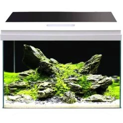 AMTRA Modern Tank 50 LED Aquarium équipé 40L Dimensions 50,5 X 25,5 X 40 Cm De Haut