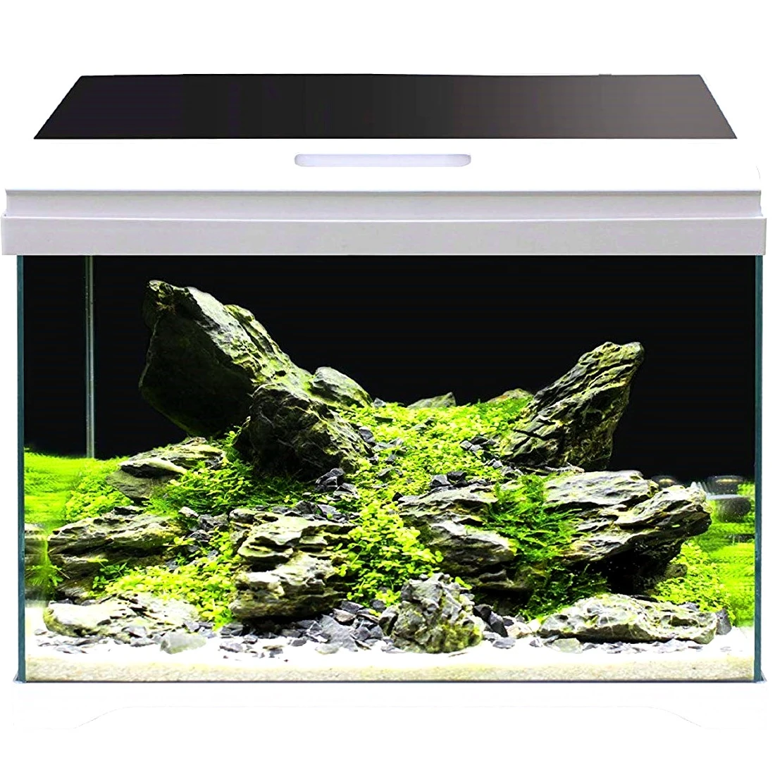 AMTRA Modern Tank 50 LED Aquarium équipé 40L Dimensions 50,5 X 25,5 X 40 Cm De Haut 1 AMTRA Modern Tank 50 LED Aquarium équipé 40L Dimensions 50,5 X 25,5 X 40 Cm De Haut