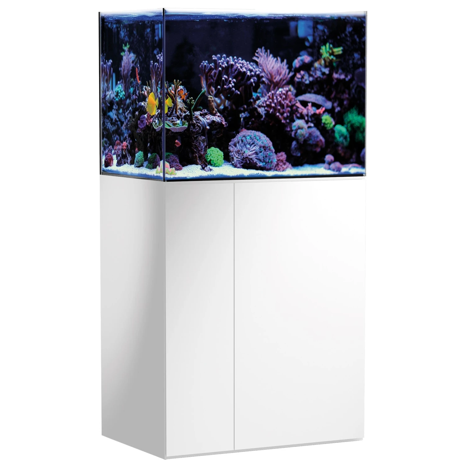 AQUA MEDIC Armatus 250 Blanc Kit Aquarium Eau De Mer De 190 L Avec Meuble Et Décantation 1 AQUA MEDIC Armatus 250 Blanc Kit Aquarium Eau De Mer De 190 L Avec Meuble Et Décantation