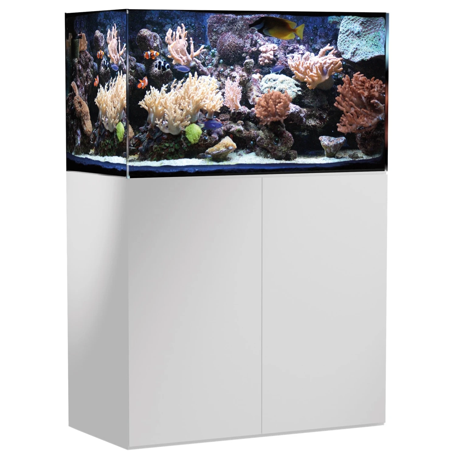 AQUA MEDIC Armatus 300 Blanc Kit Aquarium Eau De Mer 250 L Avec Meuble Et Décantation 1 AQUA MEDIC Armatus 300 Blanc Kit Aquarium Eau De Mer 250 L Avec Meuble Et Décantation