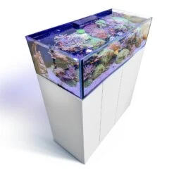 AquaVie Promos Magasin -AquaVie Promos Magasin aqua medic armatus lagoon 400 kit aquarium marin 150 cm 355 l avec meuble et systeme a decantation 1 min