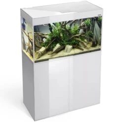 AQUAEL Glossy 100 LED 2.0 Blanc Laqué Aquarium 100 Cm, Volume 215 L Et éclairage Leds