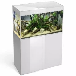 AQUAEL Glossy 80 LED 2.0 Blanc Laqué Aquarium 80 Cm, Volume 125 L Et éclairage Leds