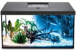 AQUAEL Leddy 75 Noir Day & Night 2.0 Aquarium équipé 75 X 35 X 40 Cm, 105L Avec éclairage LEDs 14W