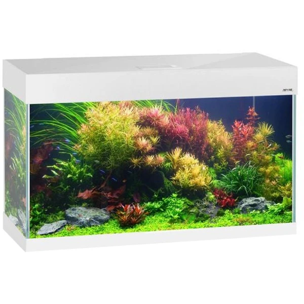 AquaVie Promos Magasin -AquaVie Promos Magasin aquael opti set 125 blanc aquarium 81 cm et 125 l de volume avec verre optique et eclairage leds 1 1