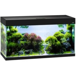 AQUAEL Opti Set 200 Noir Aquarium 101 Cm Et 200 L De Volume Avec Verre Optique Et éclairage Leds -AquaVie Promos Magasin aquael opti set 200 noir aquarium 101 cm et 200 l de volume avec verre optique et eclairage leds