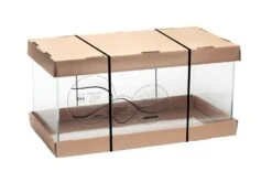 AQUAEL Opti Tank 54L 60 X 30 X 30 Cm Aquarium En Verre Optique Extra Clair. Cuve Nue Livrée Sans équipement -AquaVie Promos Magasin aquael opti tank 54l 60 x 30 x 30 cm aquarium en verre optique extra clair cuve nue livree sans equipement 9