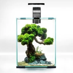 AQUAEL ShrimpSet Day & Night 10 Noir Nano-aquarium 10L Tout équipé 20 X 20 X 25 Cm