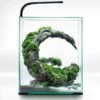 AQUAEL ShrimpSet Day & Night 30 Noir Nano-aquarium 30L Tout équipé 29 X 29 X 35 Cm