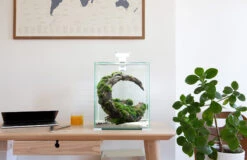 AQUAEL ShrimpSet Day & Night 20 Blanc Nano-aquarium 19L Tout équipé 25 X 25 X 30 Cm -AquaVie Promos Magasin aquael shrimpset day night 4 3