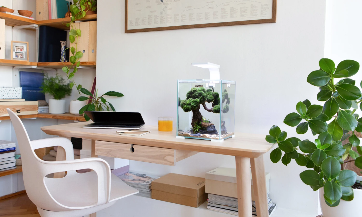 AQUAEL ShrimpSet Day & Night 30 Blanc Nano-aquarium 30L Tout équipé 29 X 29 X 35 Cm 3 AQUAEL ShrimpSet Day & Night 30 Blanc Nano-aquarium 30L Tout équipé 29 X 29 X 35 Cm – Image 3