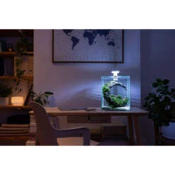 AQUAEL ShrimpSet Day & Night 20 Noir Nano-aquarium 19L Tout équipé 25 X 25 X 30 Cm -AquaVie Promos Magasin aquael shrimpset day night 7 2