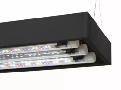 AQUAEL UltraScape 60 Set Forest Aquarium 64L Dimensions 60 X 30 X 36 Cm. Avec Ou Sans Meuble -AquaVie Promos Magasin aquael ultrascape 60 set forest aquarium 64l dimensions 60 x 30 x 36 cm avec ou sans meuble 3