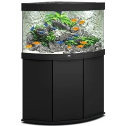 Aquarium JUWEL Trigon 190 LED Dim. 99 X 70 X 60 Cm 190 Litres, Coloris Au Choix, Avec Ou Sans Meuble SBX