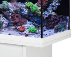EHEIM AquaStart 63 LED Marin Blanc Aquarium équipé Eau De Mer 60 Cm 63L Disponible Avec Ou Sans Meuble -AquaVie Promos Magasin aquarium eheim aquastar 63 marin led blanc 4
