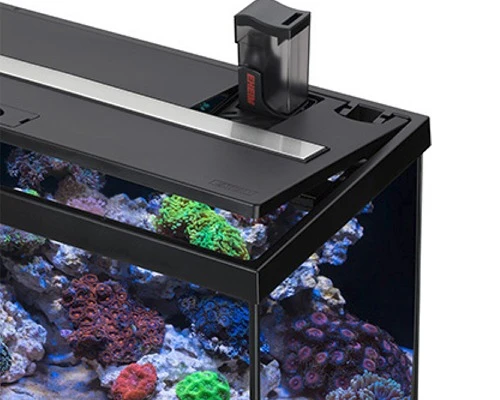 EHEIM AquaStart 63 LED Marin Noir Aquarium équipé Eau De Mer 60 Cm 63L Disponible Avec Ou Sans Meuble 4 EHEIM AquaStart 63 LED Marin Noir Aquarium équipé Eau De Mer 60 Cm 63L Disponible Avec Ou Sans Meuble – Image 4