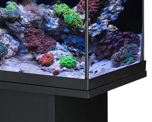 EHEIM AquaStart 63 LED Marin Noir Aquarium équipé Eau De Mer 60 Cm 63L Disponible Avec Ou Sans Meuble 2 EHEIM AquaStart 63 LED Marin Noir Aquarium équipé Eau De Mer 60 Cm 63L Disponible Avec Ou Sans Meuble – Image 2
