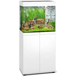 Aquarium JUWEL Lido 120 LED 61 X 41 X 58 Cm 120L - Gris, Blanc, Noir Ou Chêne Clair, Avec Ou Sans Meuble SBX -AquaVie Promos Magasin aquarium juwel lido 120 led 61 x 41 x 58 cm 120l blanc avec ou sans meuble sbx