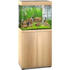 Aquarium JUWEL Lido 120 LED 61 X 41 X 58 Cm 120L - Gris, Blanc, Noir Ou Chêne Clair, Avec Ou Sans Meuble SBX -AquaVie Promos Magasin aquarium juwel lido 120 led 61 x 41 x 58 cm 120l chene clair avec ou sans meuble sbx