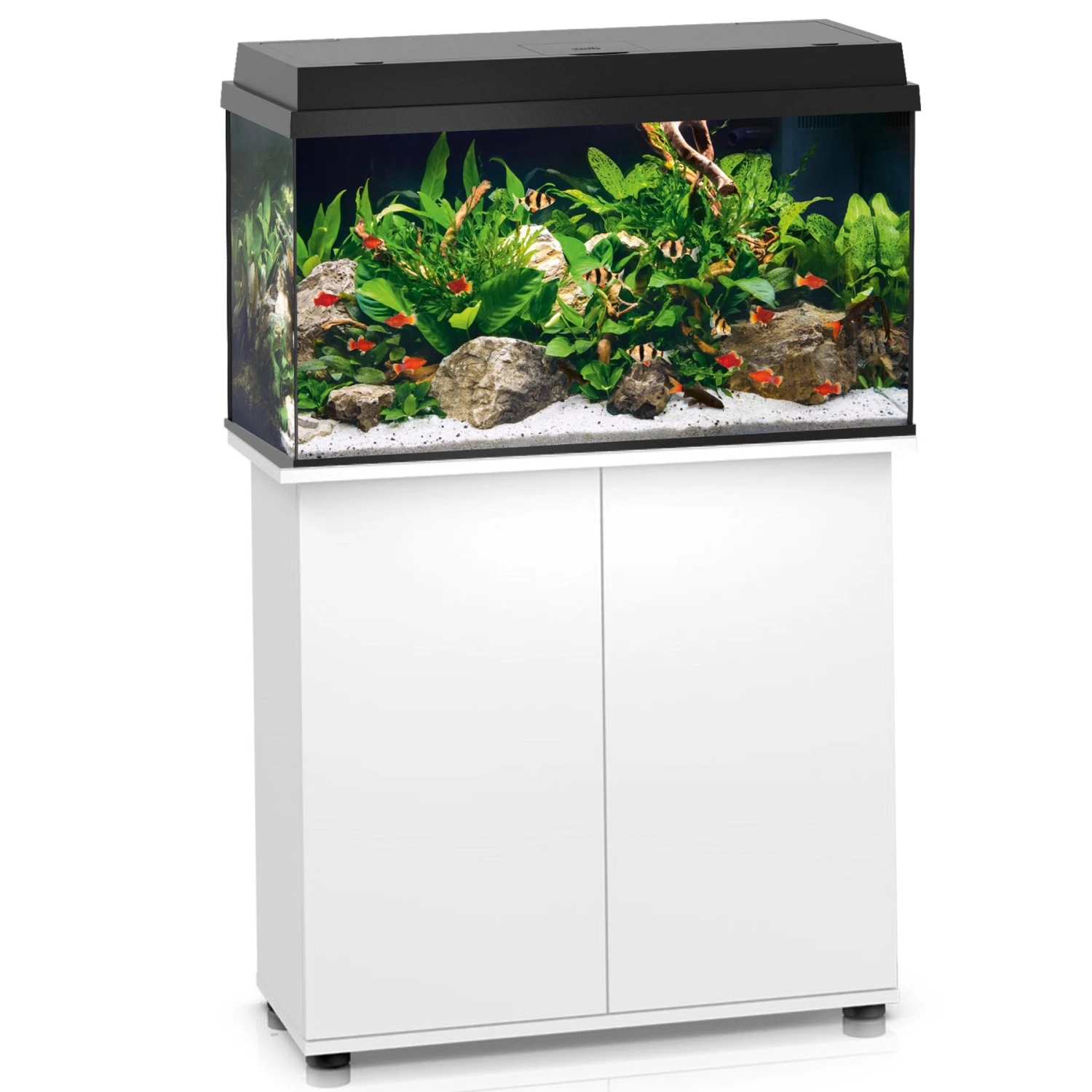 Aquarium JUWEL Primo 110 LED 81 X 36 X 45 Cm 110L Disponible Avec Ou Sans Meuble 2 Aquarium JUWEL Primo 110 LED 81 X 36 X 45 Cm 110L Disponible Avec Ou Sans Meuble – Image 2