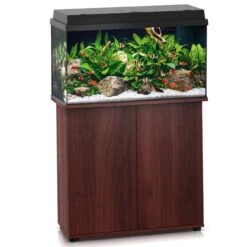 Aquarium JUWEL Primo 110 LED 81 X 36 X 45 Cm 110L Disponible Avec Ou Sans Meuble 13 Aquarium JUWEL Primo 110 LED 81 X 36 X 45 Cm 110L Disponible Avec Ou Sans Meuble -AquaVie Promos Magasin aquarium juwel primo 110 led meuble brun 1