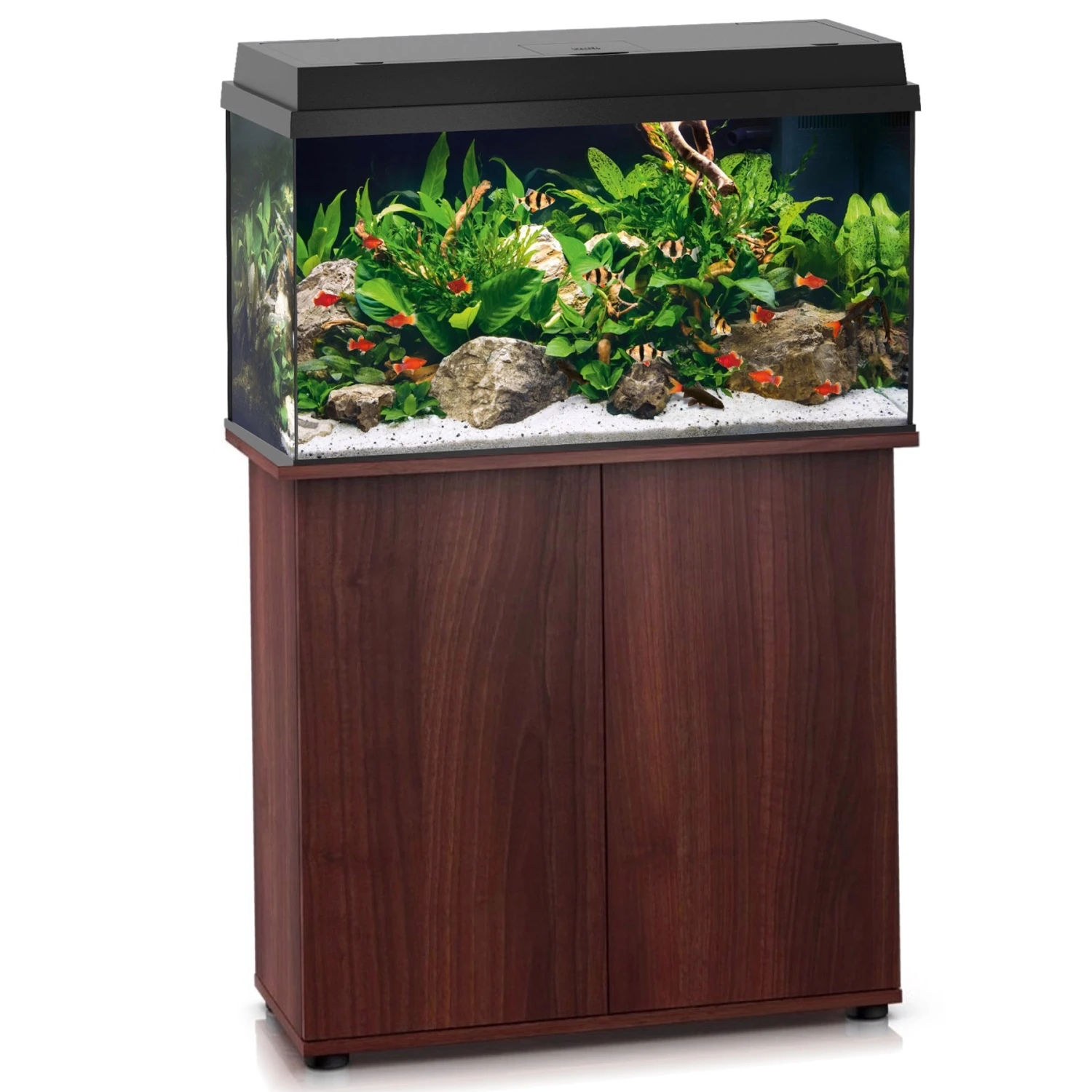 Aquarium JUWEL Primo 110 LED 81 X 36 X 45 Cm 110L Disponible Avec Ou Sans Meuble 4 Aquarium JUWEL Primo 110 LED 81 X 36 X 45 Cm 110L Disponible Avec Ou Sans Meuble – Image 4