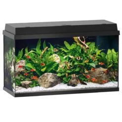 Aquarium JUWEL Primo 110 LED 81 X 36 X 45 Cm 110L Disponible Avec Ou Sans Meuble 15 Aquarium JUWEL Primo 110 LED 81 X 36 X 45 Cm 110L Disponible Avec Ou Sans Meuble -AquaVie Promos Magasin aquarium juwel primo 110 led sans meuble