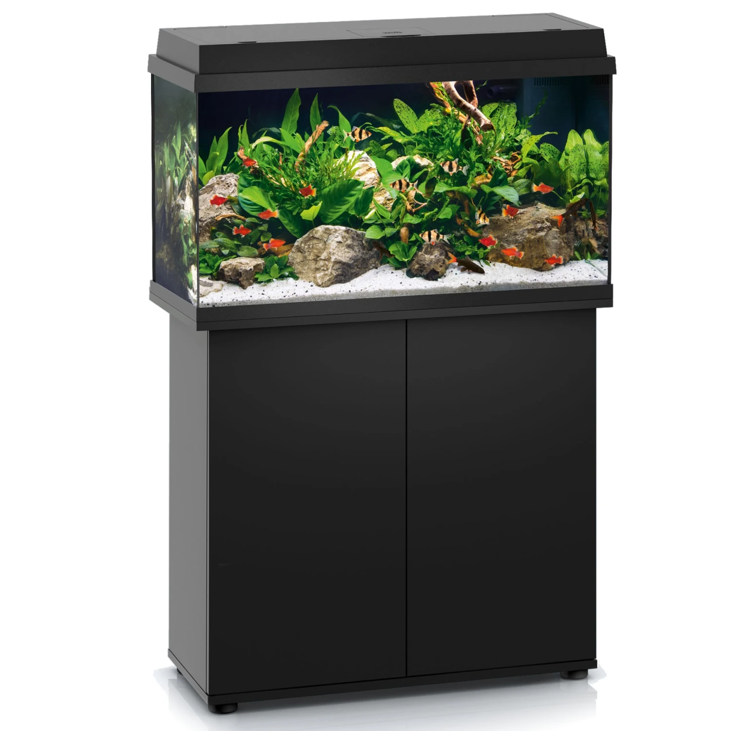 Aquarium JUWEL Primo 110 LED 81 X 36 X 45 Cm 110L Disponible Avec Ou Sans Meuble 1 Aquarium JUWEL Primo 110 LED 81 X 36 X 45 Cm 110L Disponible Avec Ou Sans Meuble