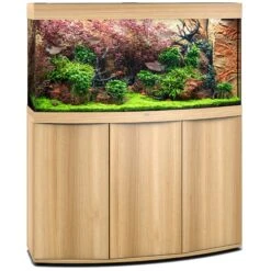 Aquarium JUWEL Vision 260 LED Dim. 121 X 46 X 62 Cm 260 Litres, Coloris Au Choix, Avec Ou Sans Meuble SBX -AquaVie Promos Magasin aquarium juwel vision 260 led dim 121 x 46 x 62 cm 260 litres meuble chene clair