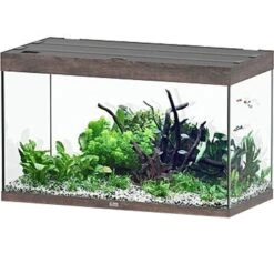 AQUATLANTIS Sublime Pro LED 2.0 100 X 50 X 60 Cm ChĂȘne Sauvage Brun Aquarium Ă©quipĂ© 300 L