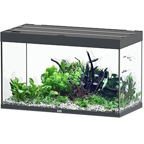 AQUATLANTIS Sublime Pro LED 2.0 100 X 50 X 60 Cm Gris Anthracite Brillant Aquarium équipé 300 L 1 AQUATLANTIS Sublime Pro LED 2.0 100 X 50 X 60 Cm Gris Anthracite Brillant Aquarium équipé 300 L