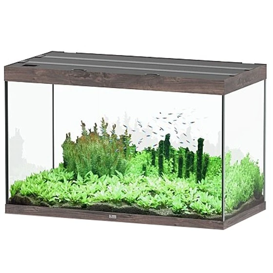AQUATLANTIS Sublime Pro LED 2.0 120 X 60 X 75 Cm Chêne Sauvage Brun Aquarium équipé 517 L 1 AQUATLANTIS Sublime Pro LED 2.0 120 X 60 X 75 Cm Chêne Sauvage Brun Aquarium équipé 517 L