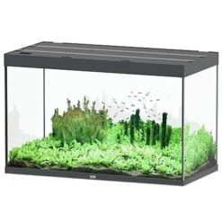 AQUATLANTIS Sublime Pro LED 2.0 120 X 60 X 75 Cm Gris Anthracite Brillant Aquarium équipé 517 L