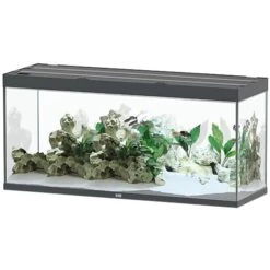 AQUATLANTIS Sublime Pro LED 2.0 150 X 50 X 70 Cm Gris Anthracite Brillant Aquarium équipé 501 L