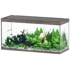 AQUATLANTIS Sublime Pro LED 2.0 150 X 60 X 75 Cm ChĂȘne Sauvage Brun Aquarium Ă©quipĂ© 648 L