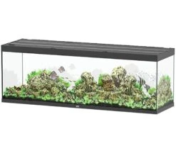 AQUATLANTIS Sublime Pro LED 2.0 200 X 60 X 75 Cm Noir Haute Brillance Aquarium équipé 816 L