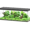 AQUATLANTIS Sublime Pro LED 2.0 200 X 70 X 75 Cm Noir Haute Brillance Aquarium équipé 1016 L
