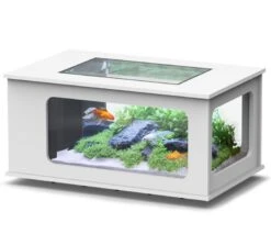 AQUATLANTIS AquaTable Blanc 100 X 63 Cm Aquarium 177 L Type Table Basse Tout équipé