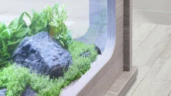 AQUATLANTIS AquaTable Blanc 100 X 63 Cm Aquarium 177 L Type Table Basse Tout équipé -AquaVie Promos Magasin aquatlantis aquatable noir 100 x 63 cm aquarium 177 l type table basse tout equipe 1 3