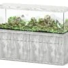 AQUATLANTIS Combinaison Sublime Pro LED 2.0 200 X 60 X 75 Cm Béton Aquarium 816 L Avec Meuble