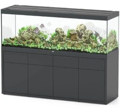 AQUATLANTIS Combinaison Sublime Pro LED 2.0 200 X 60 X 75 Cm Gris Anthracite Brillant Aquarium 816 L Avec Meuble