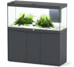 AQUATLANTIS Combinaison Volga 240 Anthracite Mate Aquarium équipé 295 L Avec Meuble Inclus