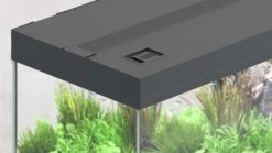 AQUATLANTIS Prestige 120 LED Noir Aquarium équipé 217 L - Dimensions : 120 X 40 X 45 Cm -AquaVie Promos Magasin aquatlantis prestige 120 led aquarium equipe 217 l dimensions 120 x 40 x 45 cm 11 2