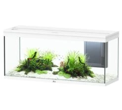 AQUATLANTIS Volga 240 Blanc Aquarium équipé 295 L - Dimensions : 122,5 X 42,7 X 55,4 Cm