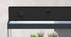 AQUATLANTIS Combinaison Volga 450 Blanc Aquarium équipé 580 L Avec Meuble Inclus 9 AQUATLANTIS Combinaison Volga 450 Blanc Aquarium équipé 580 L Avec Meuble Inclus -AquaVie Promos Magasin aquatlantis volga 240 noir aquarium equipe 295 l dimensions 122 5 x 42 7 x 55 4 cm 3 10