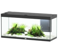 AQUATLANTIS Volga 240 Noir Aquarium équipé 295 L - Dimensions : 122,5 X 42,7 X 55,4 Cm