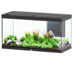 AQUATLANTIS Volga 350 Noir Aquarium équipé 427 L - Dimensions : 122,5 X 52,7 X 66,1 Cm