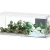 AQUATLANTIS Volga 450 Blanc Aquarium équipé 580 L - Dimensions : 152,5 X 52,7 X 67,6 Cm