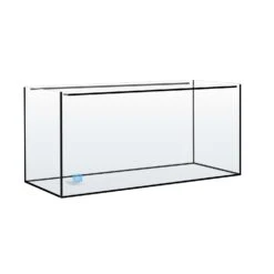 Aquarium Nu 63 Litres 60 X 30 X 35 Cm. Cuve Nue Livrée Sans équipement